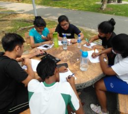 Solving algebra and expansion algebra and factorisation